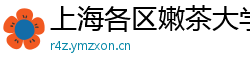 上海各区嫩茶大学生威